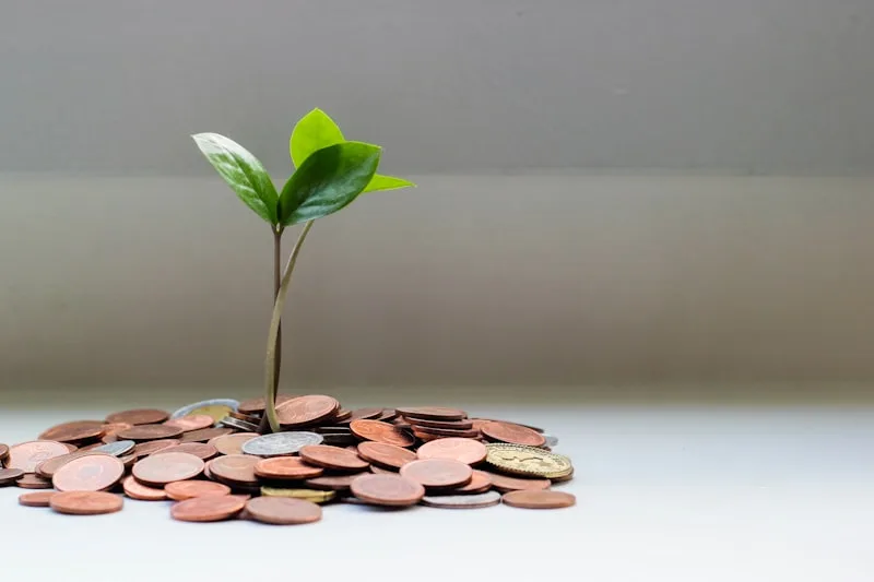 Financial Literacy Masterclass: The Complete Guide to Understanding Money, Building Wealth, and Achieving Financial Freedom
