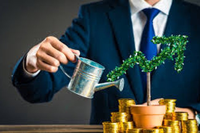 Smart Investing: Building Wealth Through Strategic Portfolios