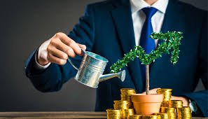 Smart Investing: Building Wealth Through Strategic Portfolios