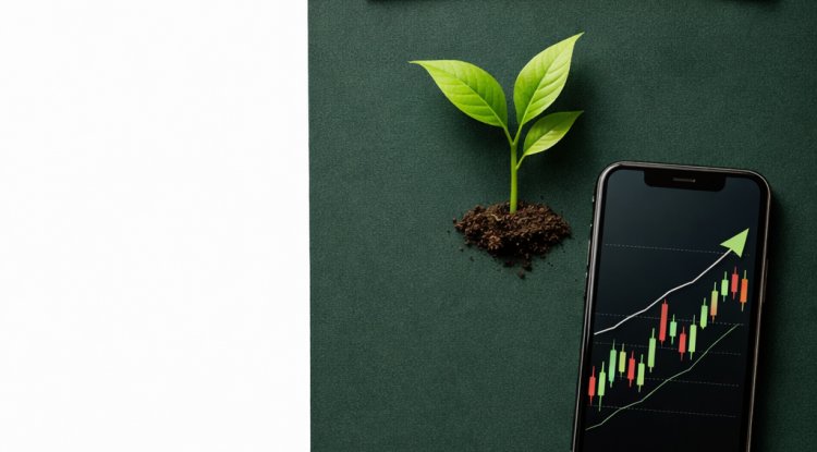 How to Start Investing With $100 (A Complete Beginner's Guide)